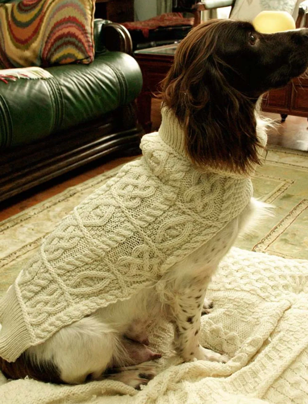 Glenaran Aran Design Homeware^Aran Dog Coat
