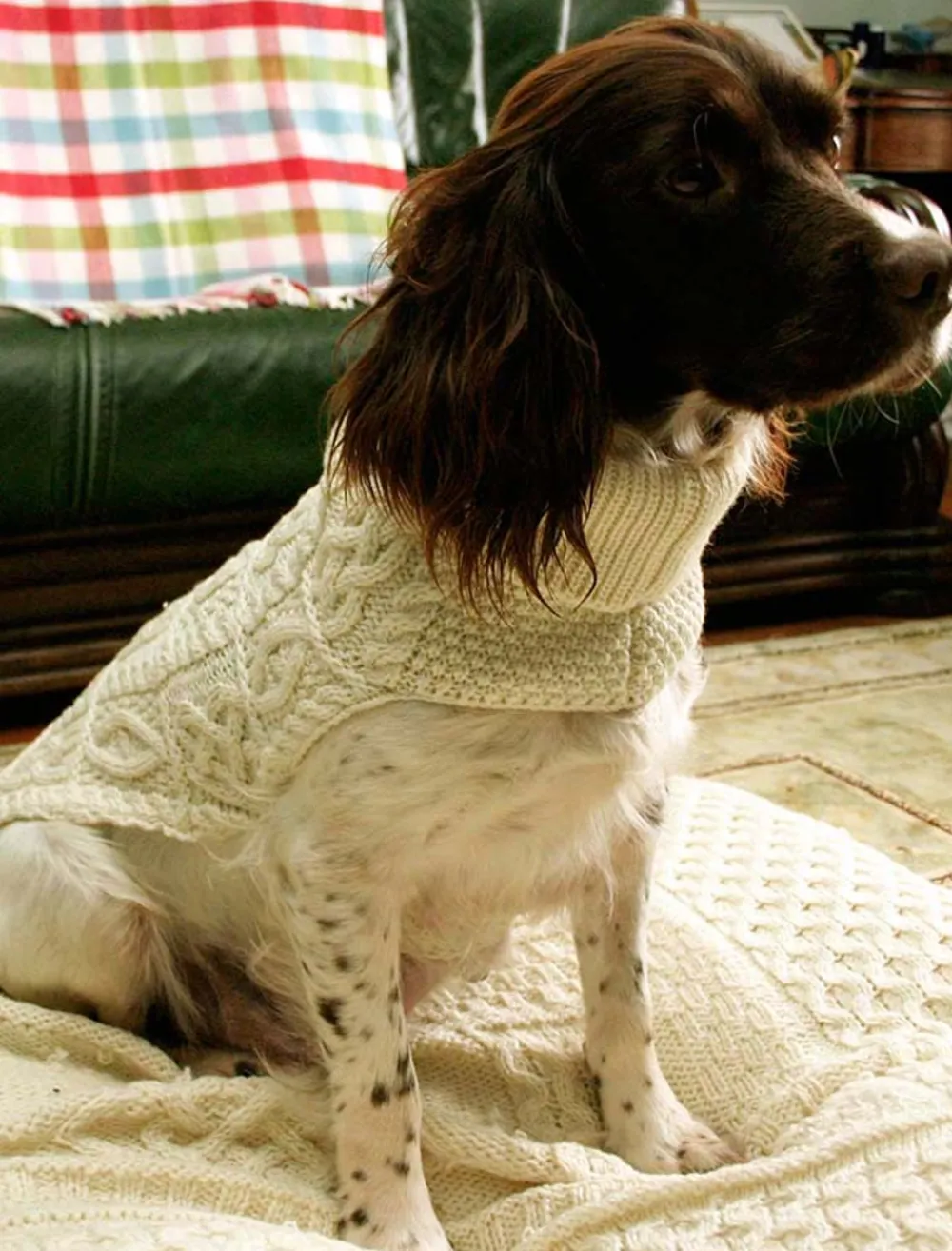 Glenaran Aran Design Homeware^Aran Dog Coat